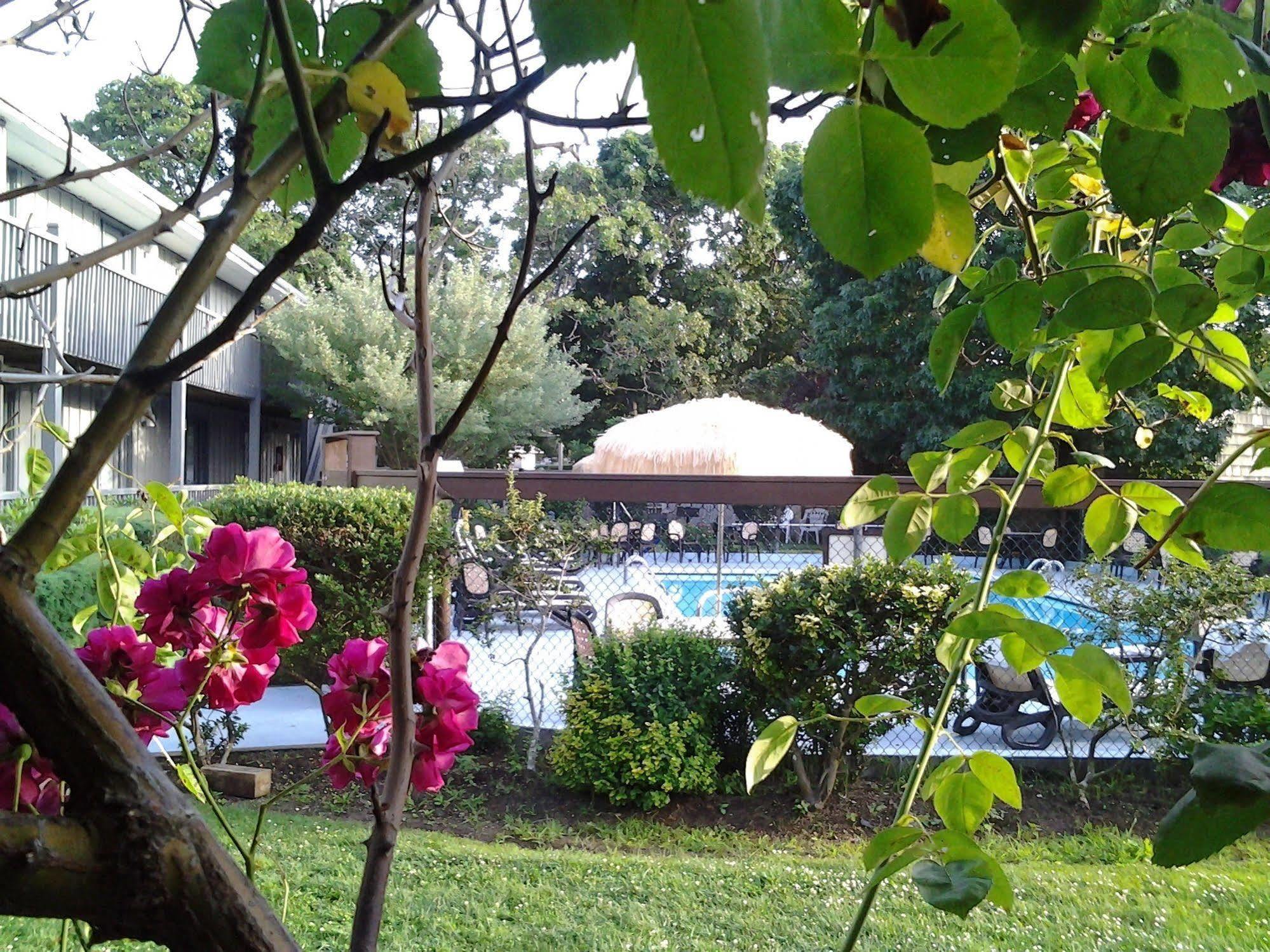 Kenny'S Tipperary Inn Montauk Esterno foto